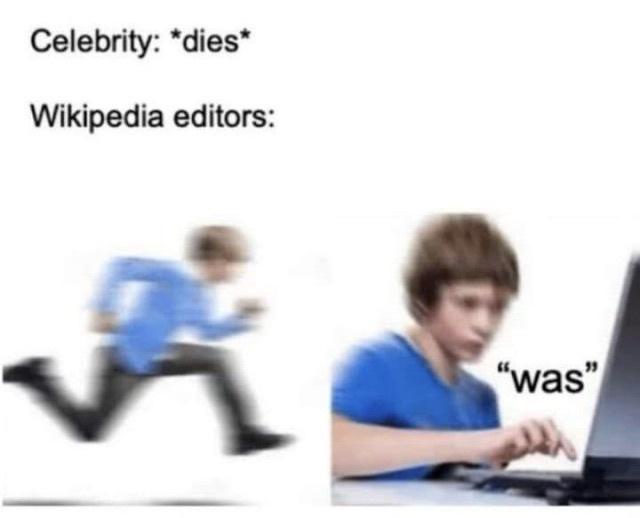 24 Memes That Shouldn’t Be This Funny (But Are) 24 Wikipedia editors