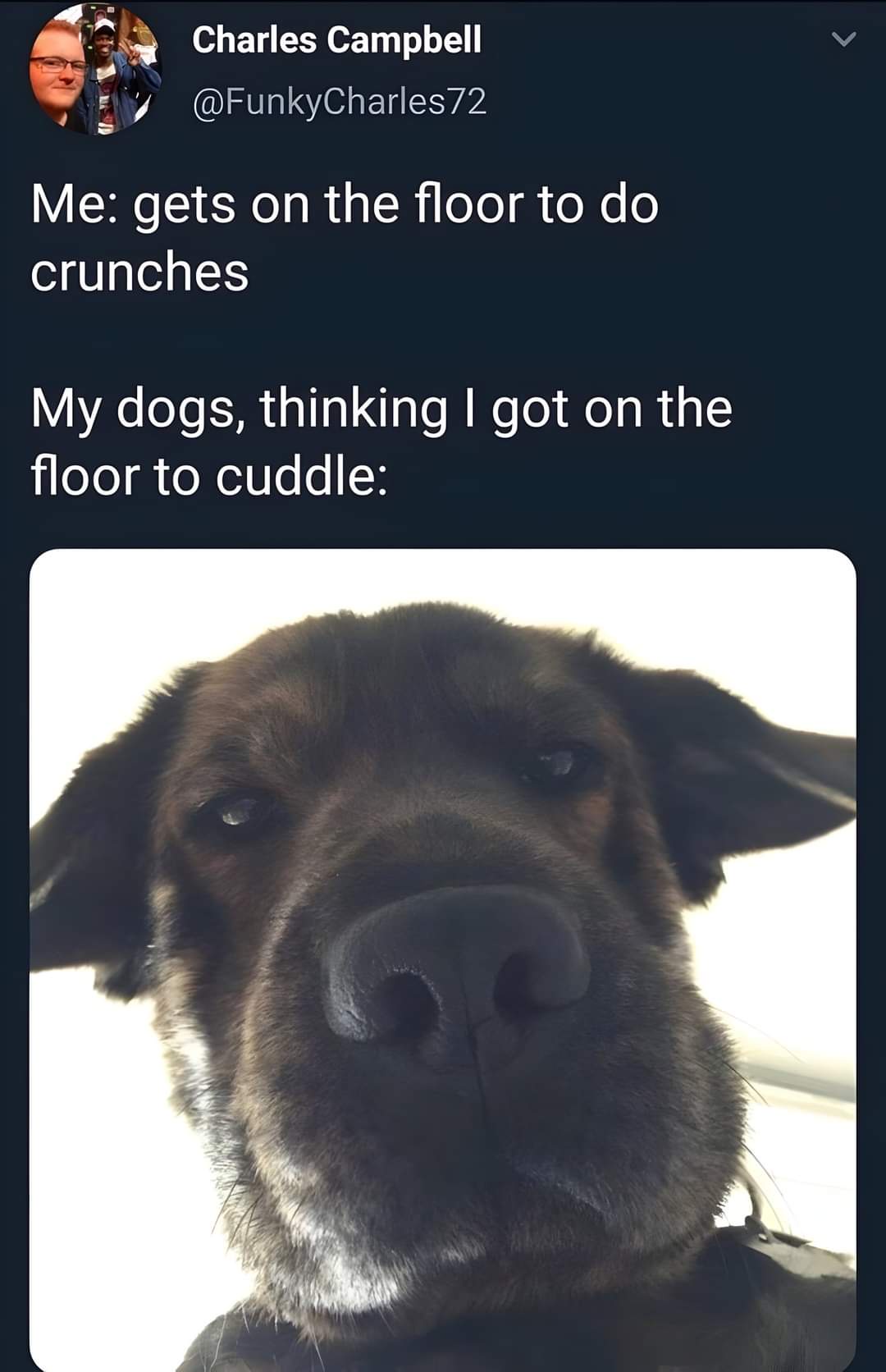 17 Memes for When Life Makes Zero Sense (But the Internet Does) 3 get on the floor