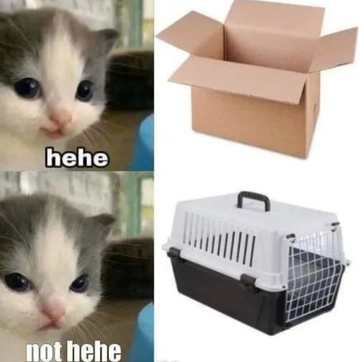 24 Memes That Shouldn’t Be This Funny (But Are) 5 hehe