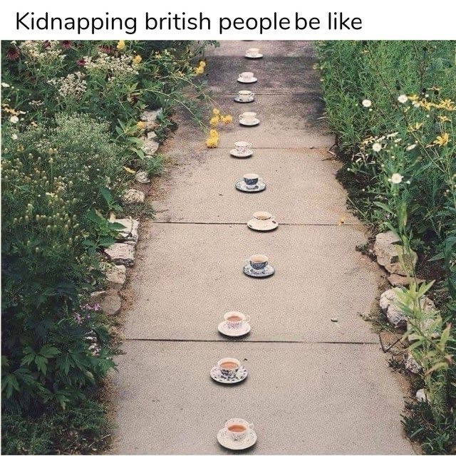 20 Memes That Are as Random as Your Midnight Thoughts 9 kidnapping british people
