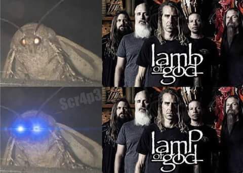 24 Moth Memes That Are Simply Drawn to the Light (And You’ll Be Too!) 8 lamp of god - moth memes