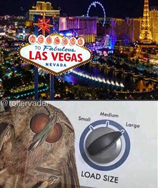 24 Moth Memes That Are Simply Drawn to the Light (And You’ll Be Too!) 10 a large sign with a large scale and a large scale of a large scale