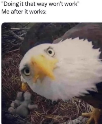 20 Memes That Are the Digital Equivalent of Free Therapy 7 me after it works