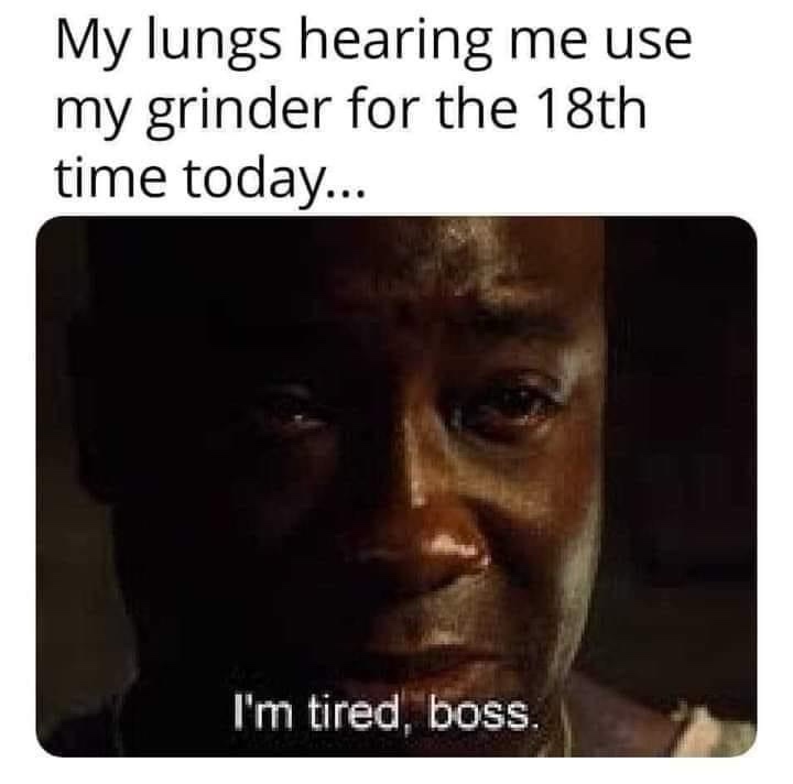 22 Memes to Distract You From Doing Anything Productive 13 my lungs hearing me