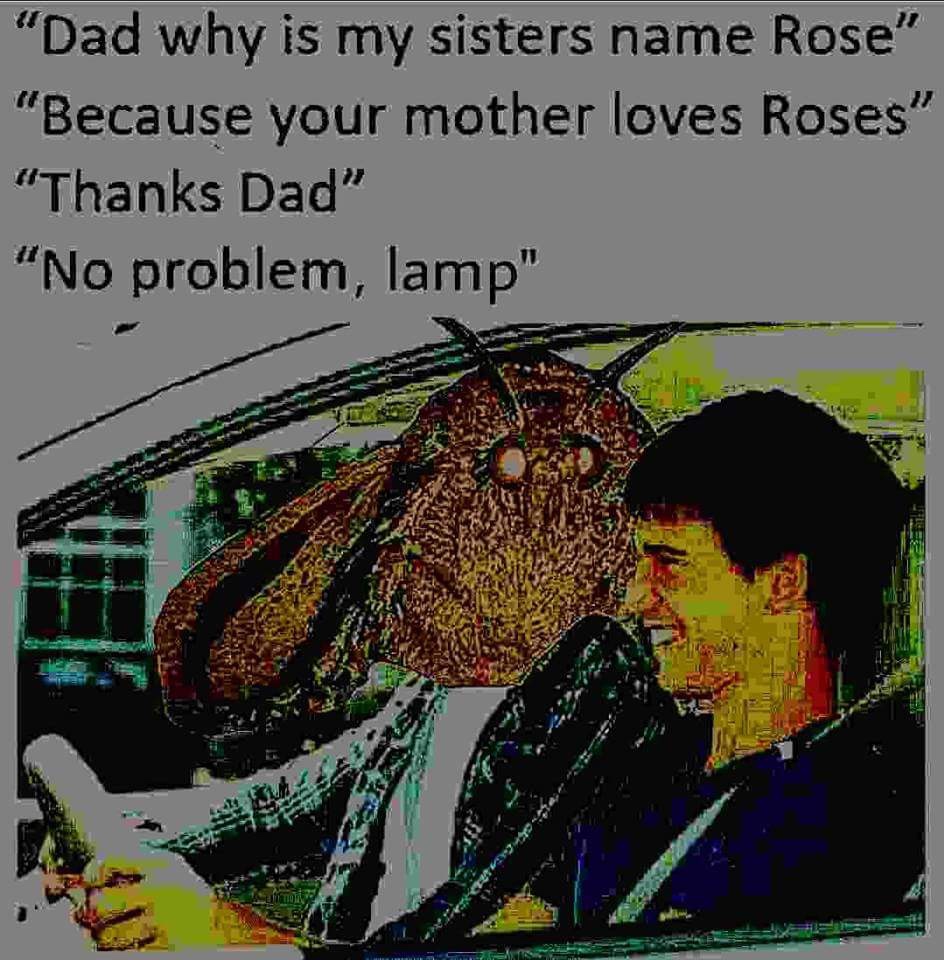 24 Moth Memes That Are Simply Drawn to the Light (And You’ll Be Too!) 15 no problem - moth memes