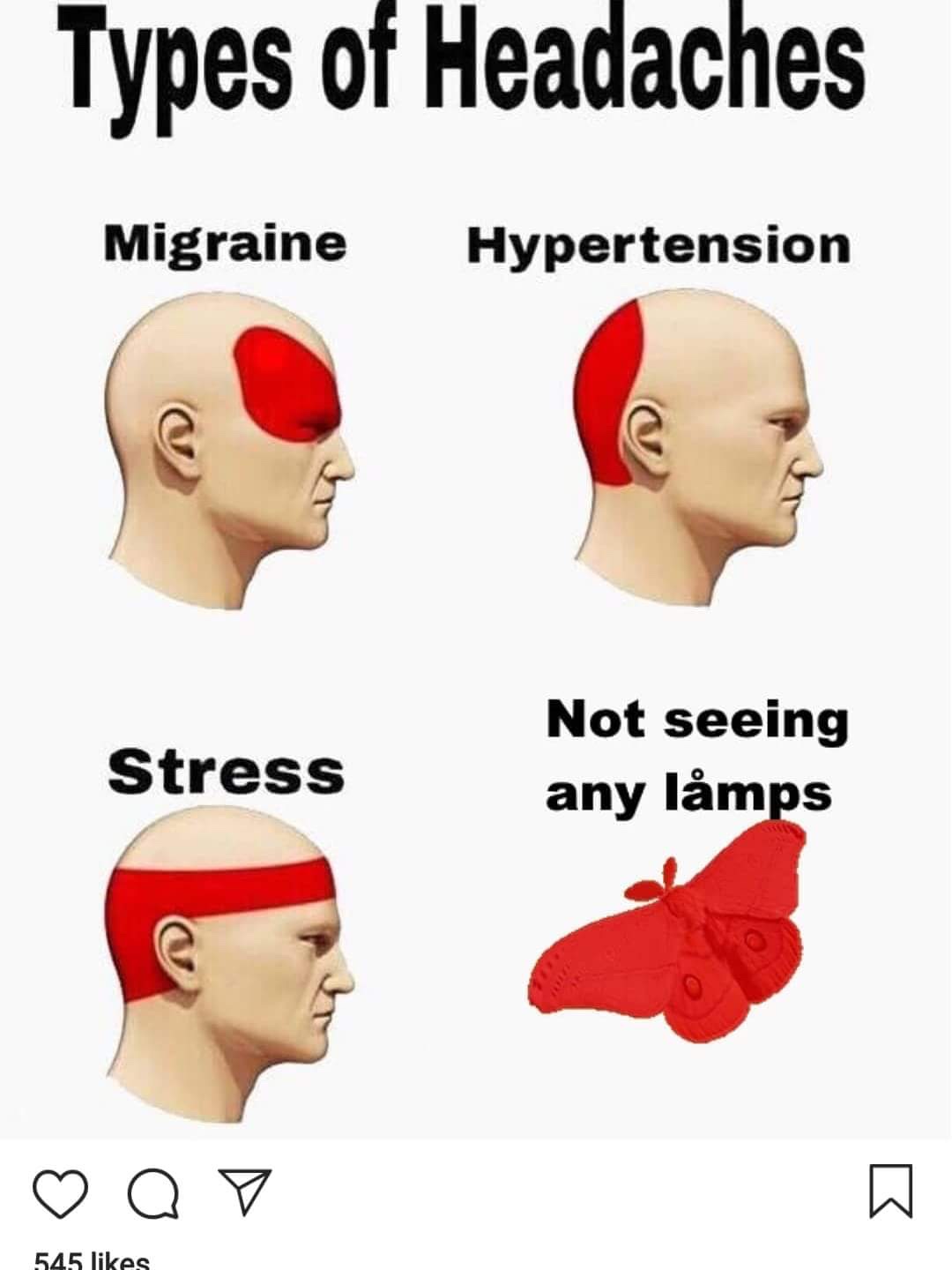 24 Moth Memes That Are Simply Drawn to the Light (And You’ll Be Too!) 16 not seeing lamps - moth memes