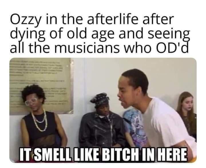 12 Memes That Will Instantly Improve Your Day (Or Night) 7 ozzy in afterlife