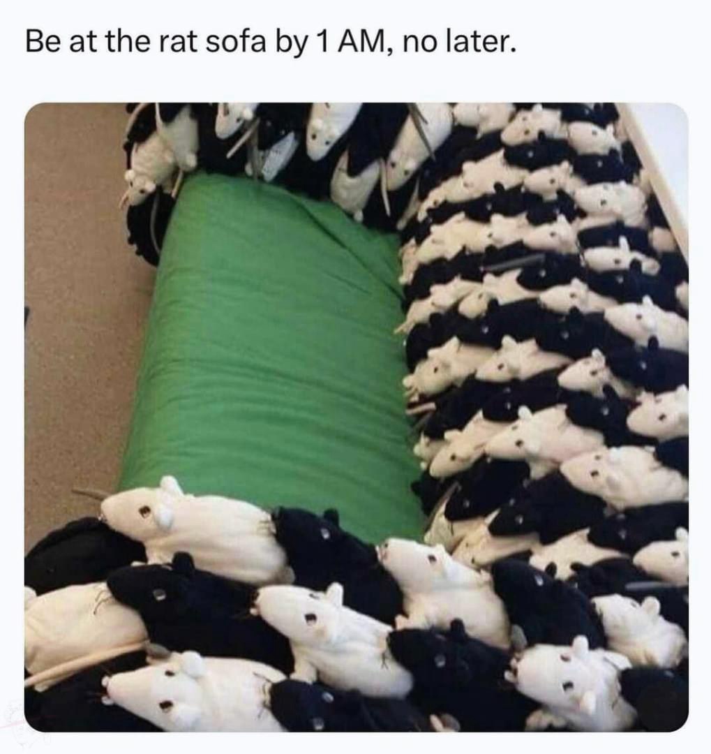 22 Memes You Won’t Be Able to Unsee (Good Luck!) 13 rat sofa
