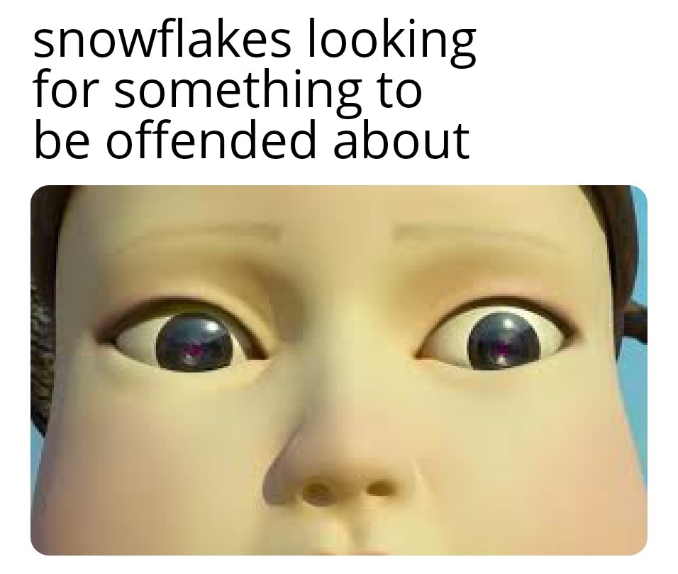 30 Offensive Memes For Those Who Don't Get Offended Easily 6 snowflakes looking for something