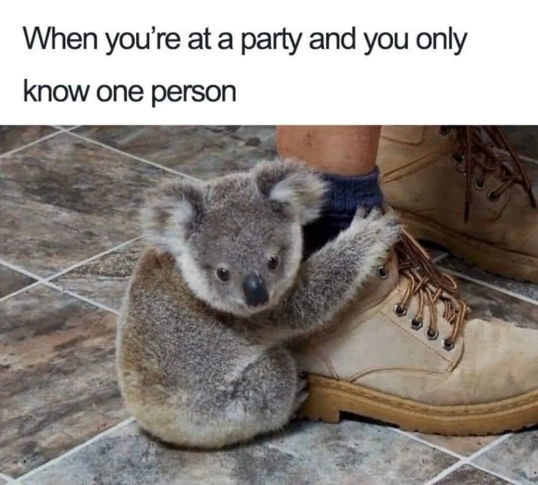 22 Memes That Are Pure Chaos (In the Best Way Possible) 21 When youre at a party