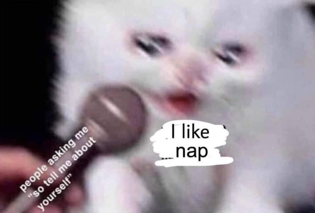 25 Memes You’ll Pretend You Didn’t Find Funny 5 I like nap