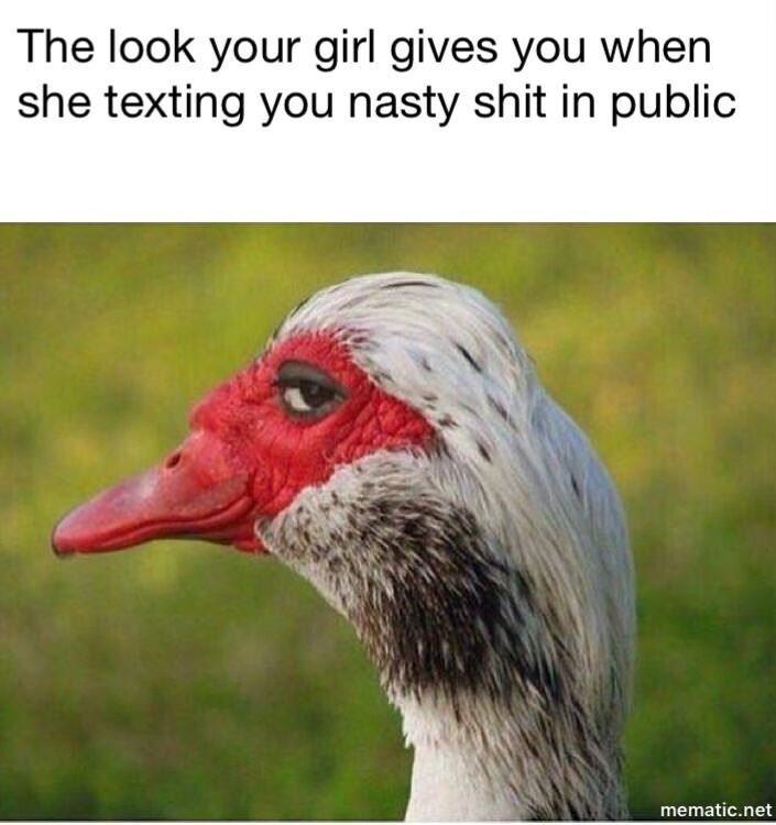 20 Saucy Memes that are definitely NSFW 9 Look your girl gives you - Saucy Memes