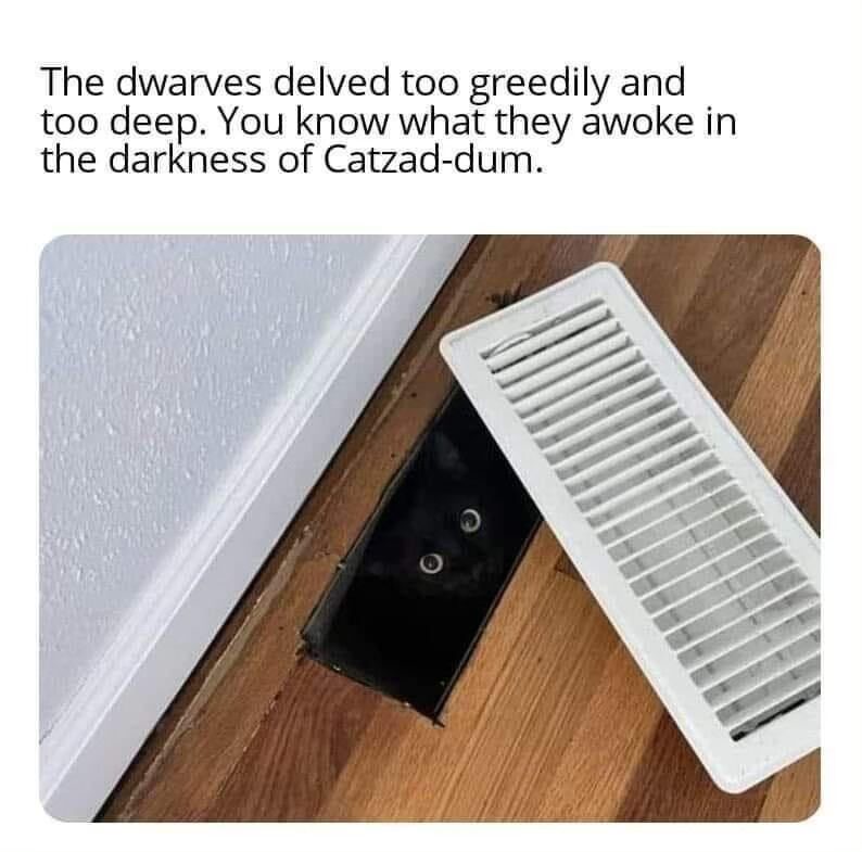 22 Memes That Are Pure Chaos (In the Best Way Possible) 5 darkness of cat