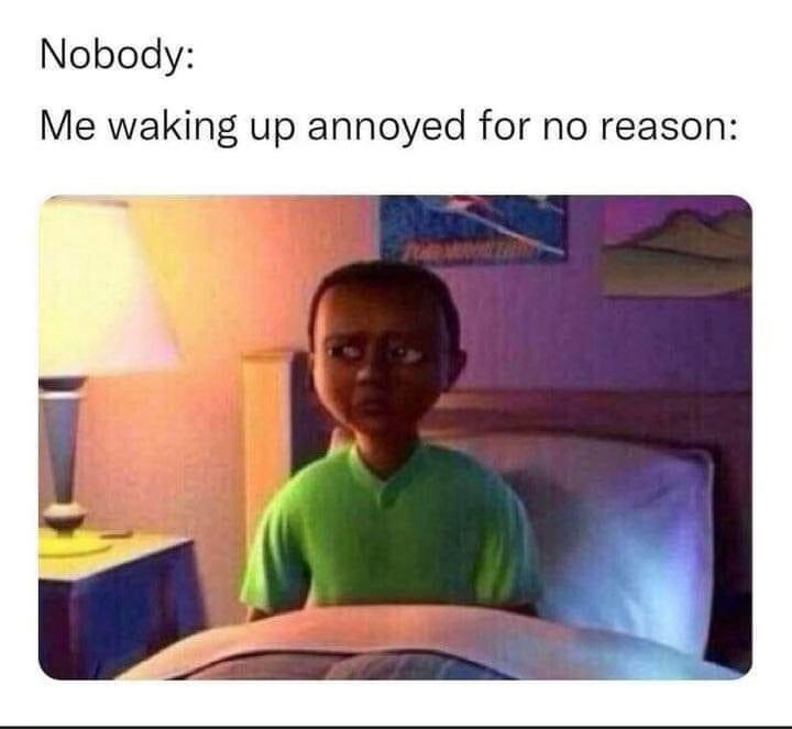 22 Memes to Distract You from Literally Everything 16 Waking up annoyed