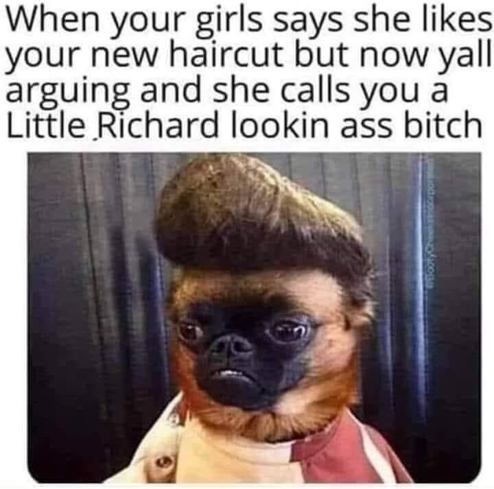 25 Memes You’ll Pretend You Didn’t Find Funny 24 WHen your girl says