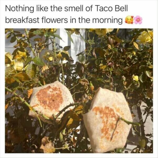 20 Memes That Are Way More Fun Than Adulting 13 Nothing like