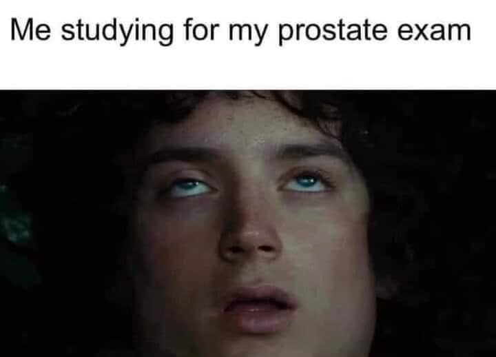 20 Saucy Memes that are definitely NSFW 11 Me studying - Saucy Memes