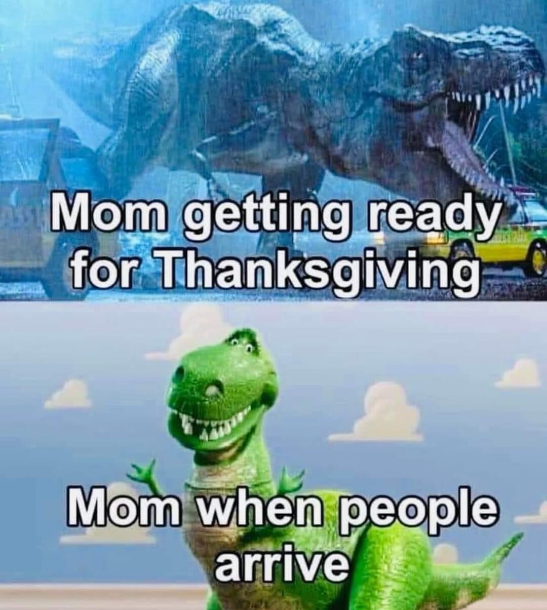 20 Memes That Are Basically the Definition of Instant Amusement 15 ready for thanksgiving