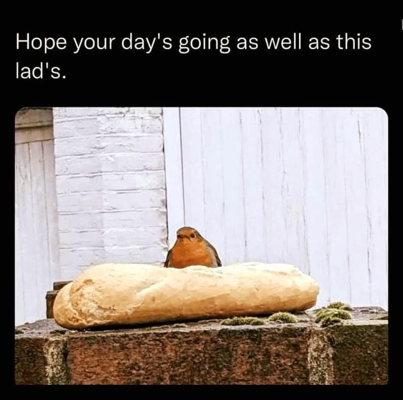 20 Memes That Are Basically the Definition of Instant Amusement 2 Days going as well