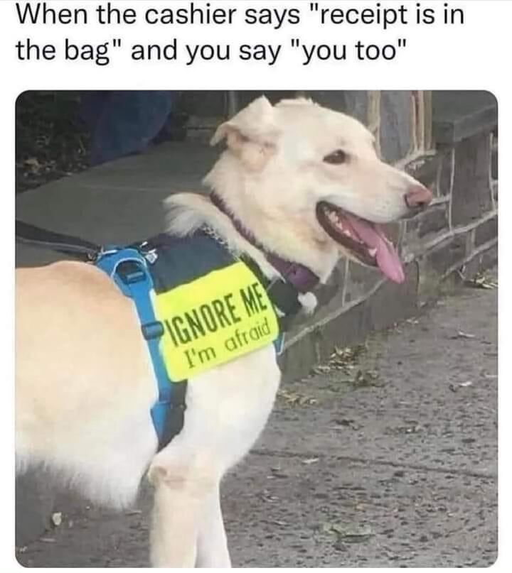 22 Memes That Are Pure Chaos (In the Best Way Possible) 18 When the cashier says