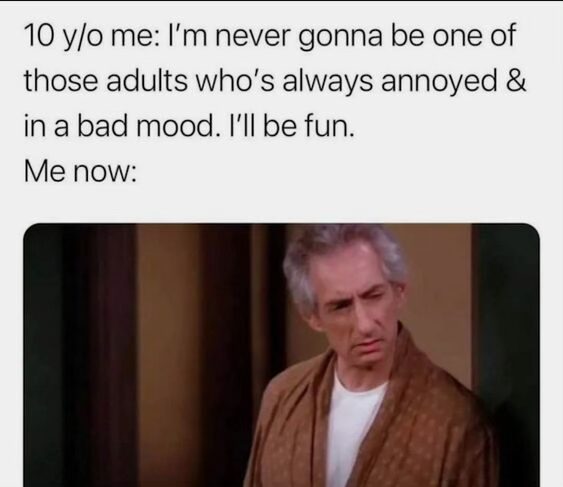 20 Memes to Heat Things Up Without Warning 15 Never gonna be one of those adults