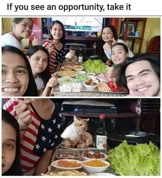 28 Memes That Are Just Here to Make You Smile for No Reason 10 If you see an opportunity