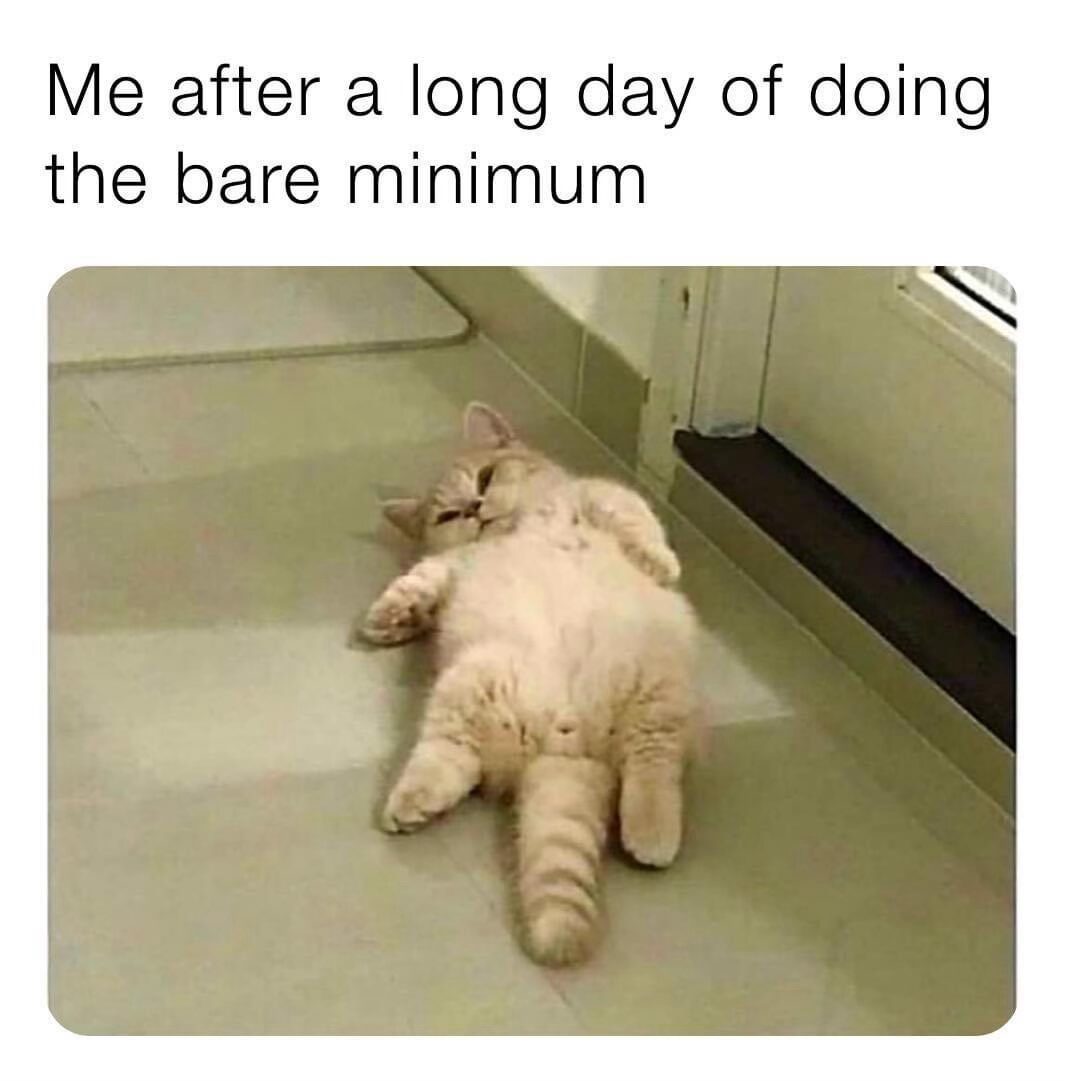 22 Memes to Distract You from Literally Everything 2 Bare minimum