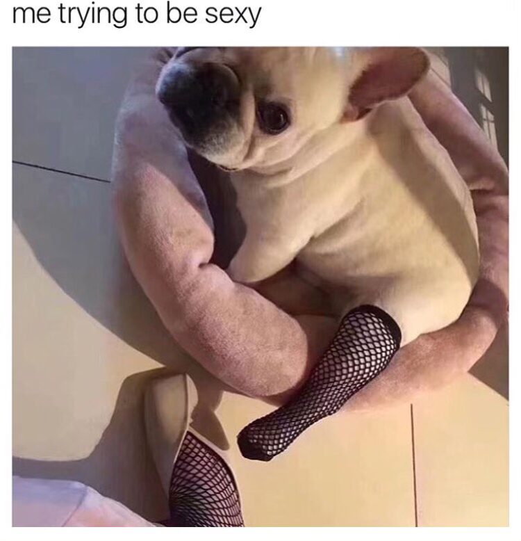 20 Saucy Memes that are definitely NSFW 17 Trying to be sexy - Saucy Memes