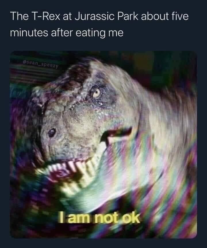 20 Memes So Relatable, It’s Scary (But Also Funny) 16 Trex at jurrasic park