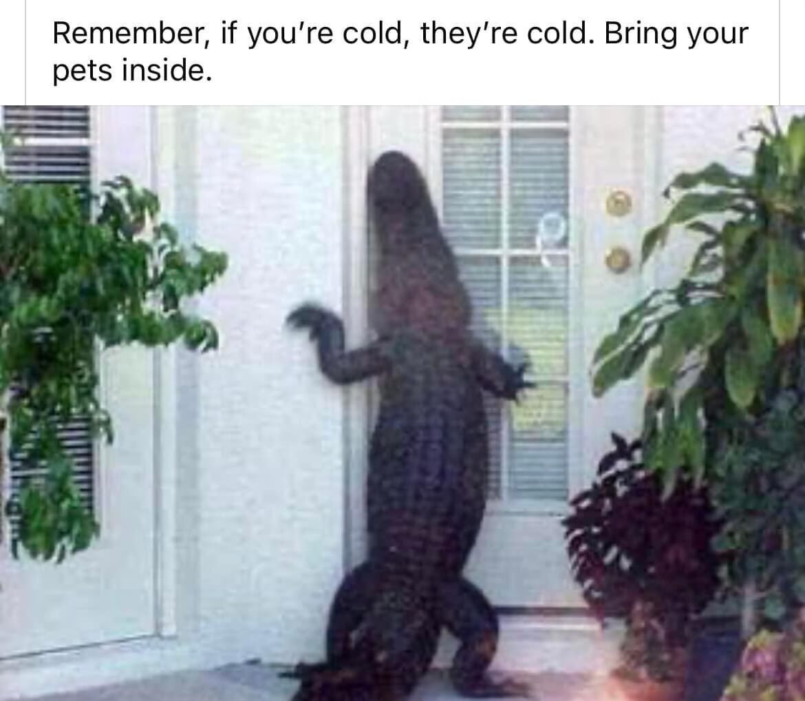 25 Memes You’ll Pretend You Didn’t Find Funny 6 If youre cold