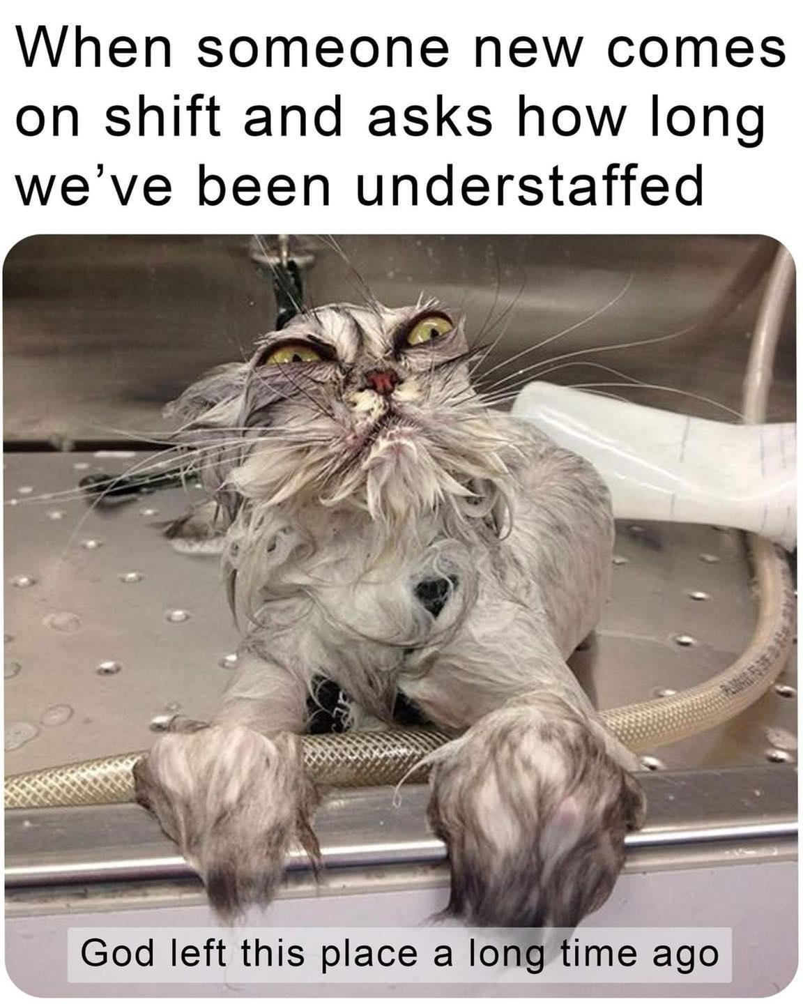 23 Memes to Scroll Through While Avoiding Responsibility 21 understaffed