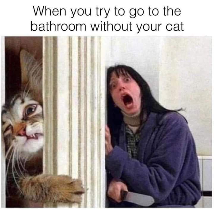 17 Memes for When Life Makes Zero Sense (But the Internet Does) 17 when you try to go to bathroom