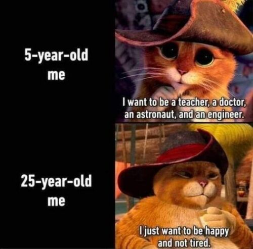20 Funny Caturday Memes You’ll Regret Not Clicking On 1 5 year old me - Funny Caturday Memes