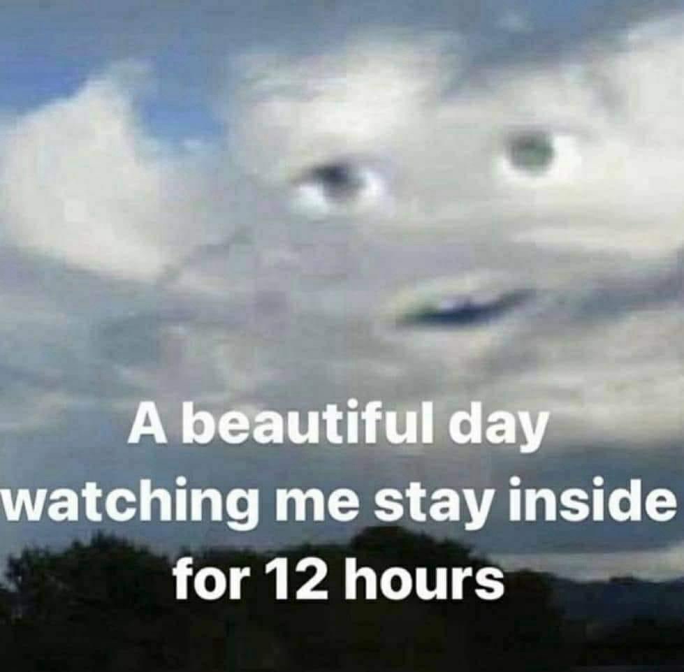 23 Memes That Are Like Abstract Art for Your Brain 1 A beautiful day watching me