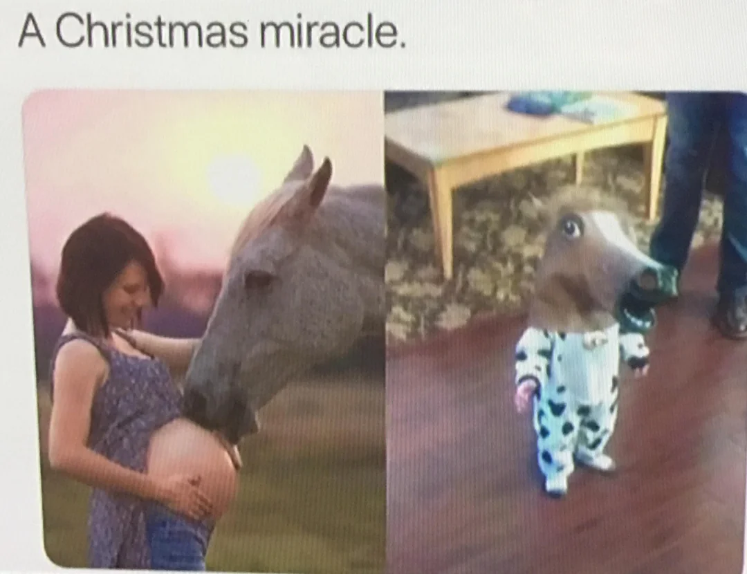 A chrismas miracle
