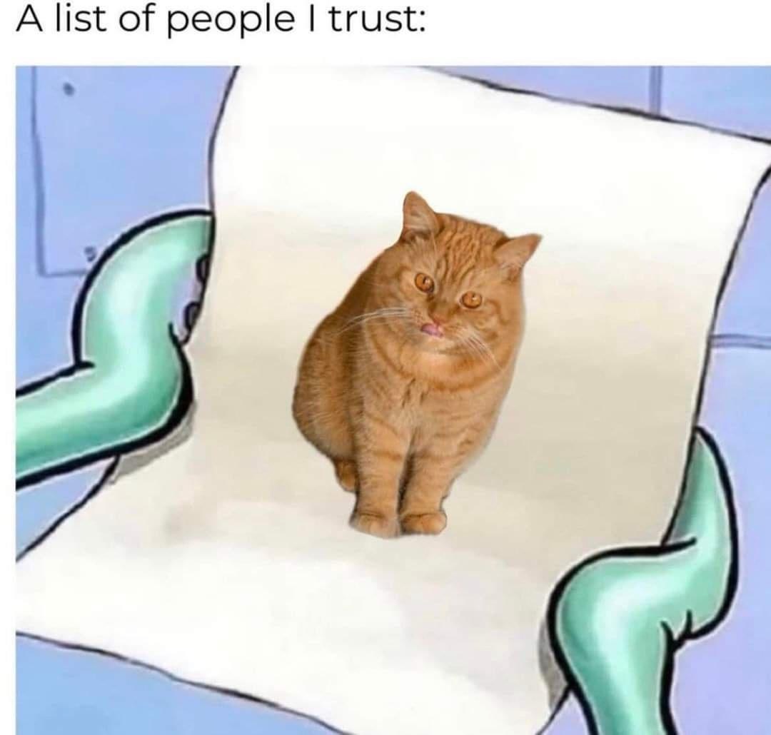 20 Funny Caturday Memes You’ll Regret Not Clicking On 2 A list of people - Funny Caturday Memes