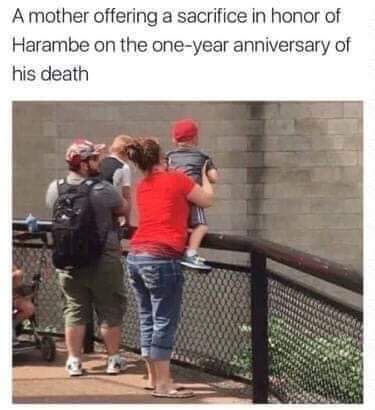 20 Memes That Could Be Art or Nonsense (You Decide) 2 A mother offering