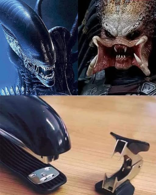 26 Memes That’ll Drag You into a Rabbit Hole of Laughter 2 Alien vs predator