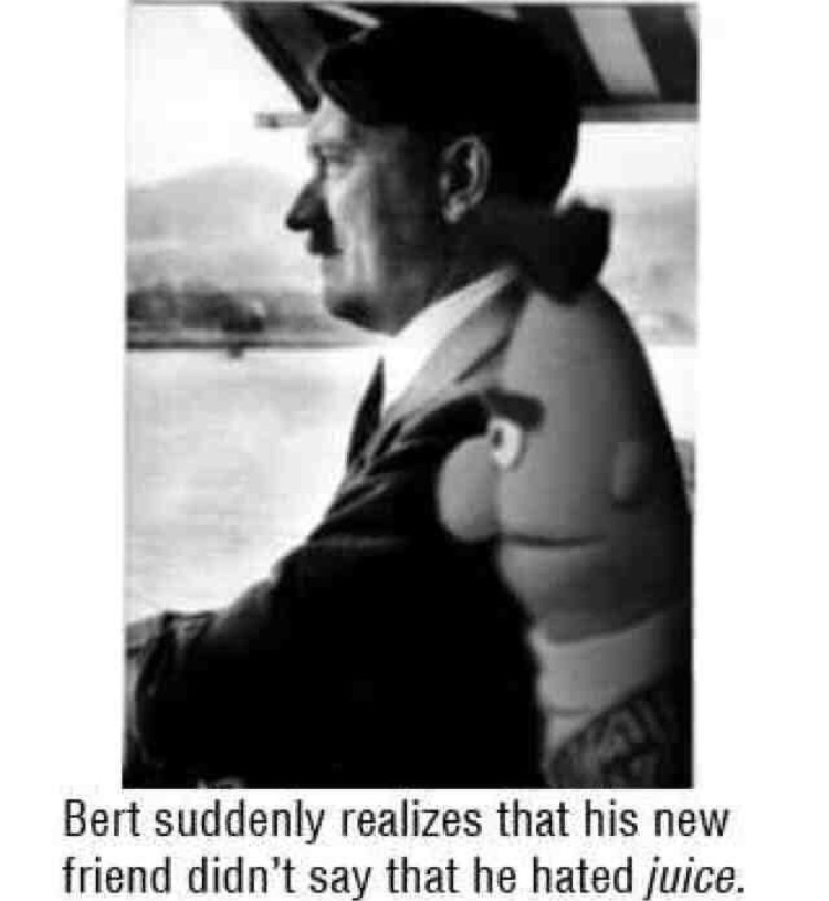 30 Unusual Memes You Didn't Know You Needed 28 Bert suddenly realised