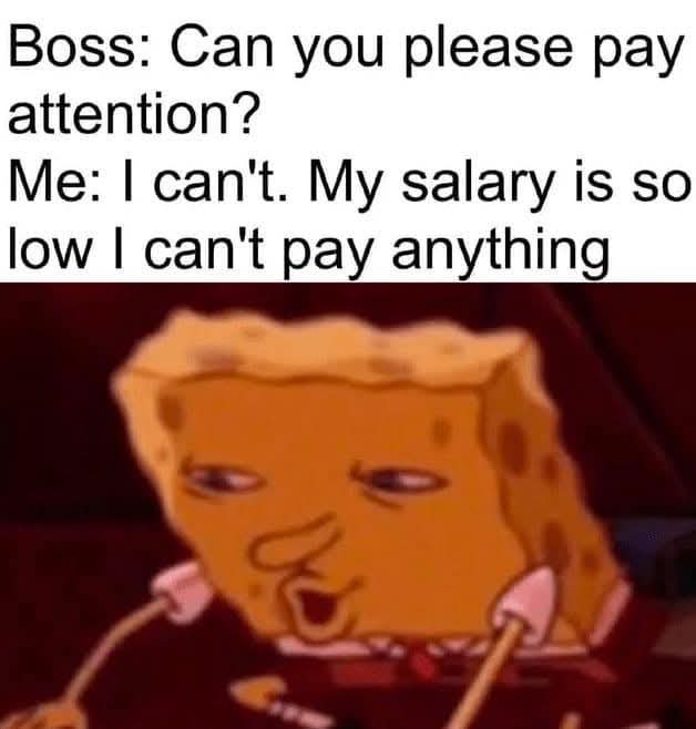 23 Memes That Exist in a Place Where Logic Is Optional 1 Can you please pay attention