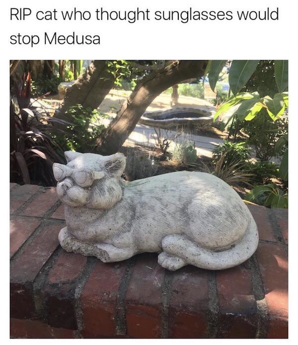 30 Memes That Could Be Art or Nonsense (You Decide) 29 Cat who thaught
