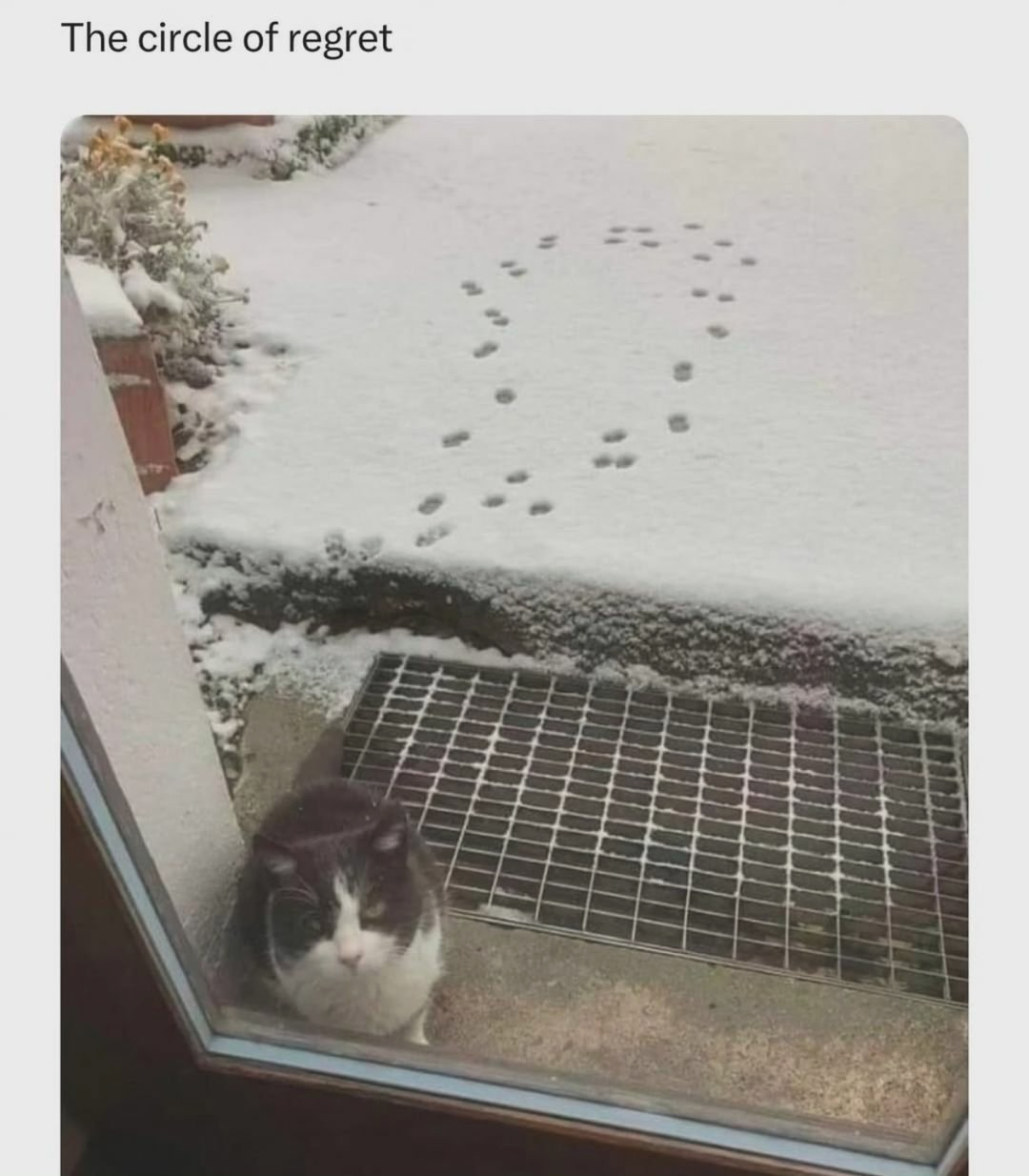 22 Memes That Are Like a Plot Twist for Your Day 4 Circle of regret