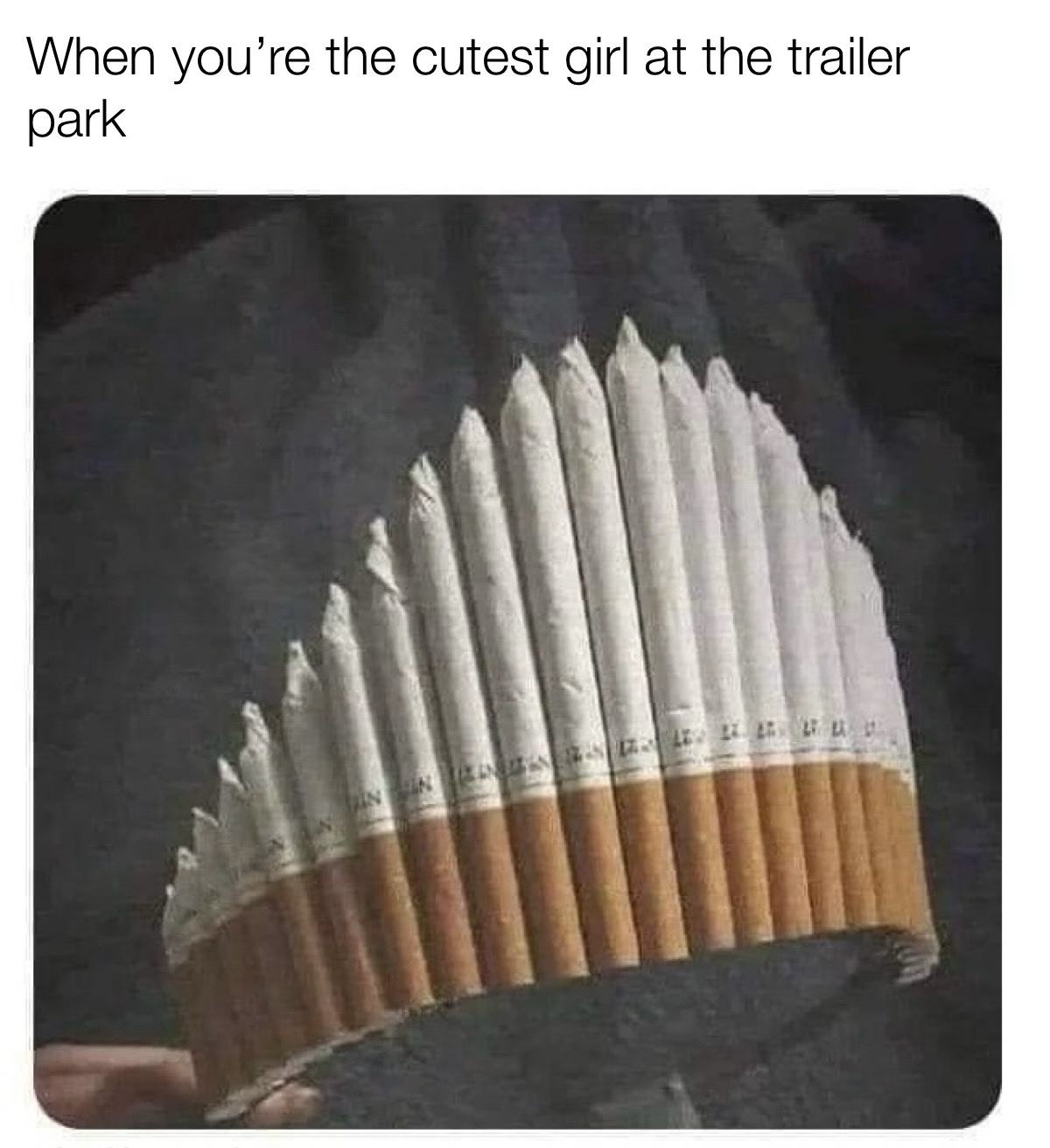 26 Memes That’ll Drag You into a Rabbit Hole of Laughter 7 Cutest girl at trailer park
