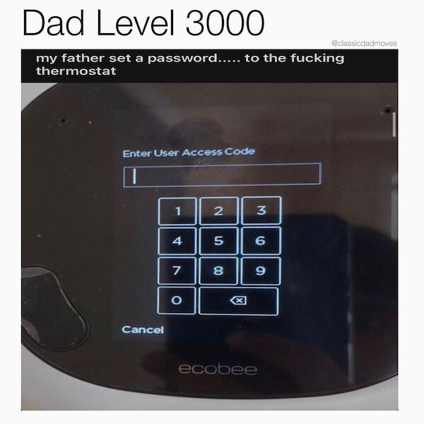 20 Memes That Could Be Art, If You Squint Hard Enough 4 Dad level