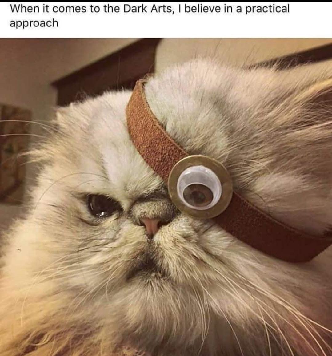 20 Funny Caturday Memes You’ll Regret Not Clicking On 6 Dark arts - Funny Caturday Memes