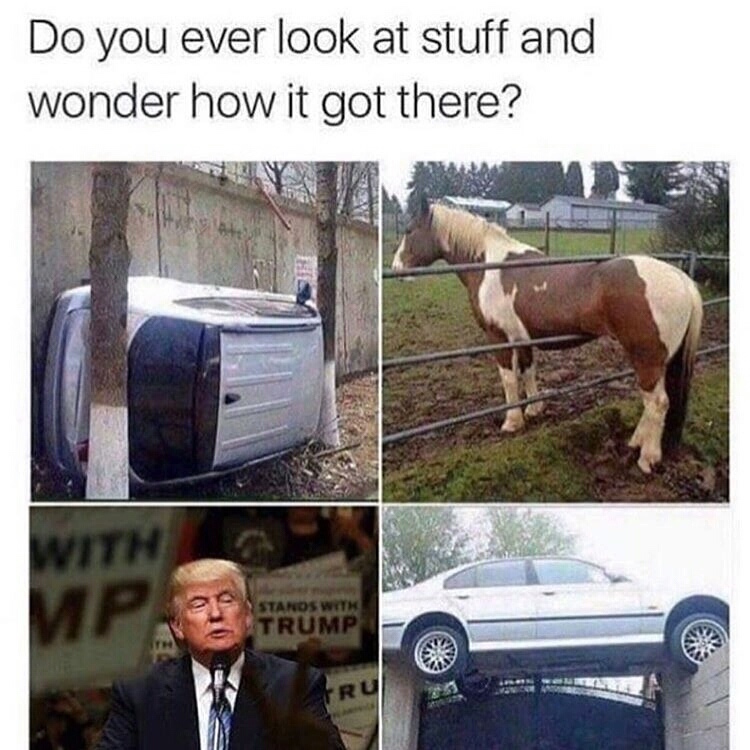 30 Unusual Memes You Didn't Know You Needed 29 Do you ever look at stuff