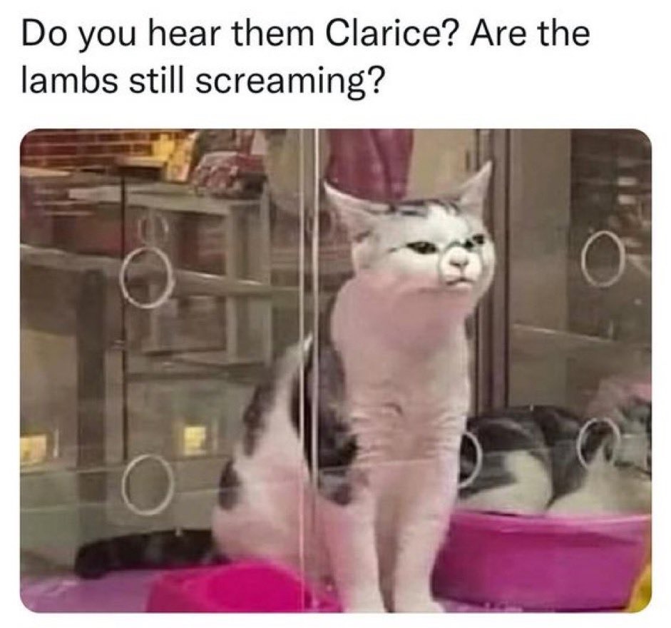 22 Memes That Hit Like a Random Joke from a Stranger 1 Do you hear them