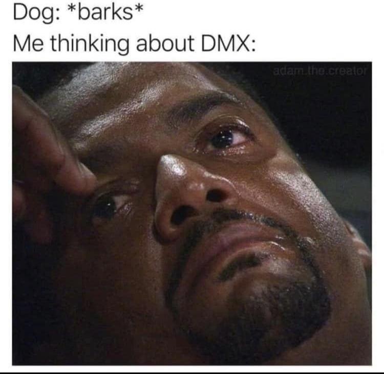 20 Memes So Funny, You’ll Forget Your Troubles (Temporarily) 3 Dog barks