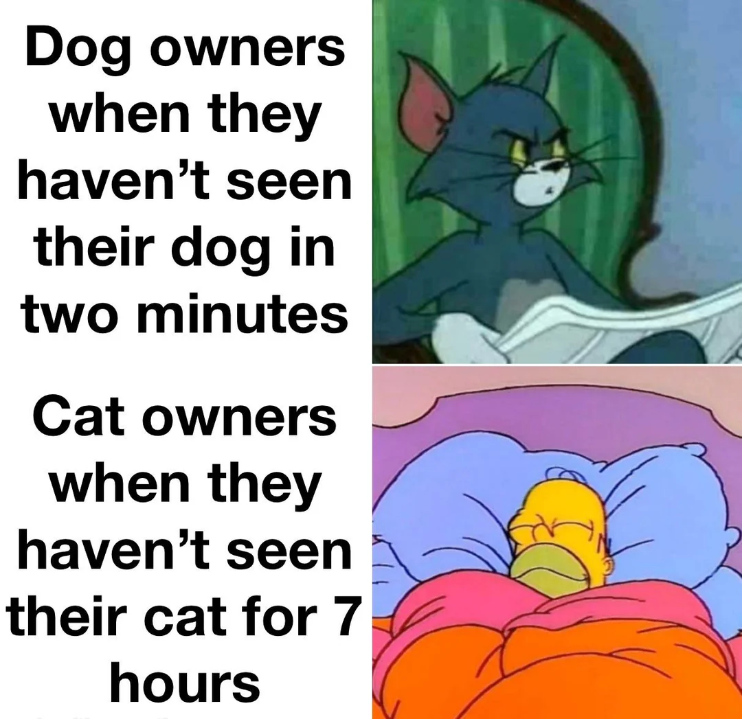 30 Cat Vs Dog Memes To Show Who Is Superior 29 Dog owners vs cat owners