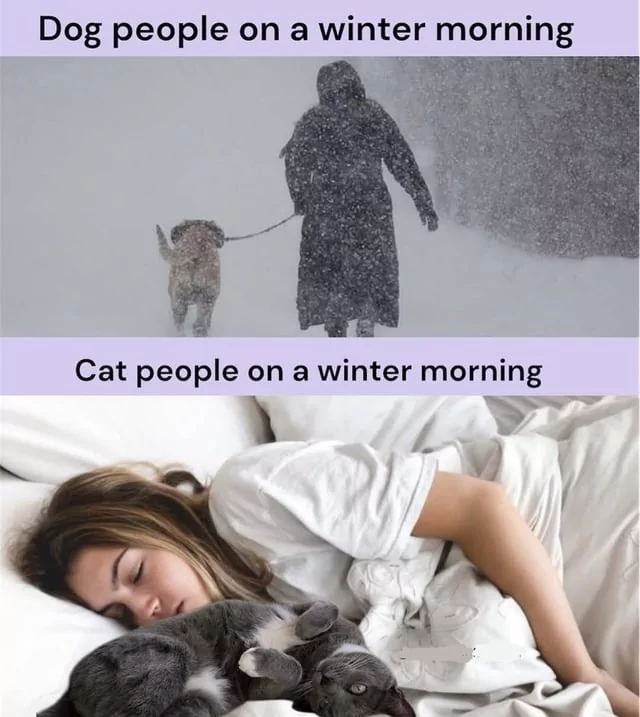 20 Best First Day Of Winter Memes To Get You Through The Season 18 Best First Day Of Winter Memes To Get You Through The Season